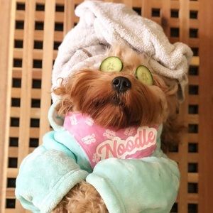 Meet your Posher, Leigh